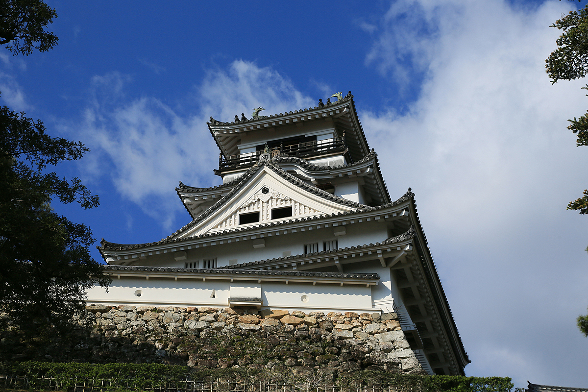 Kochi Castle