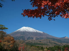 Mt Fuji One Day Tour