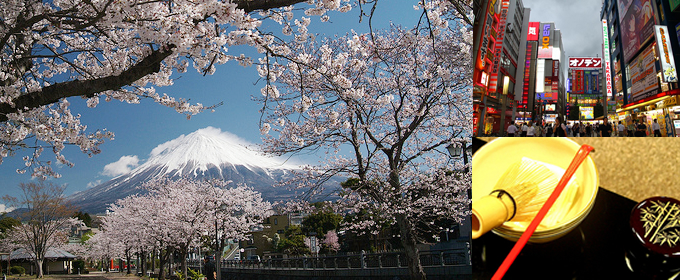 富士山, 秋叶原, 茶礼